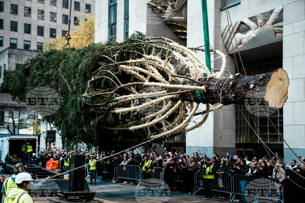 APTOPIX Rockefeller Center Christmas Tree