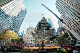 Rockefeller-Center-Christmas-Tree
