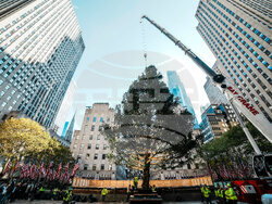 Rockefeller-Center-Christmas-Tree