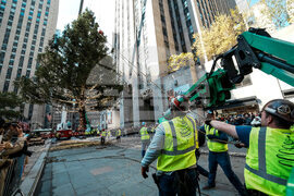 Rockefeller-Center-Christmas-Tree