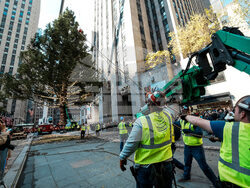 Rockefeller-Center-Christmas-Tree