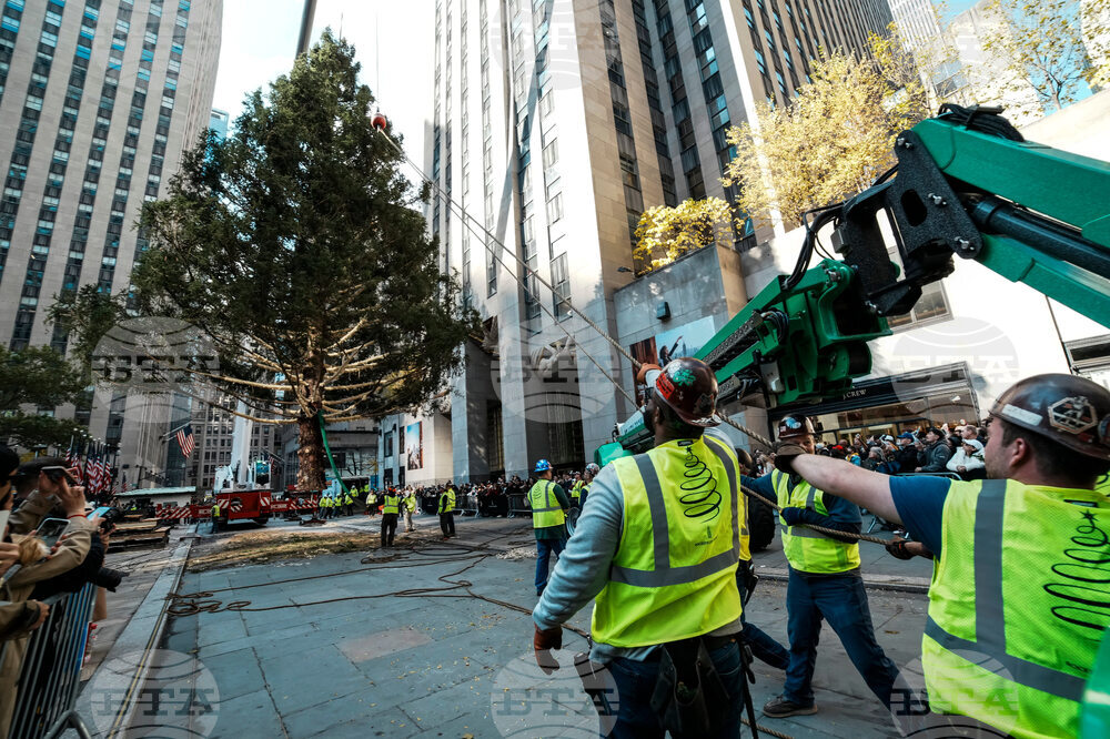 Rockefeller-Center-Christmas-Tree