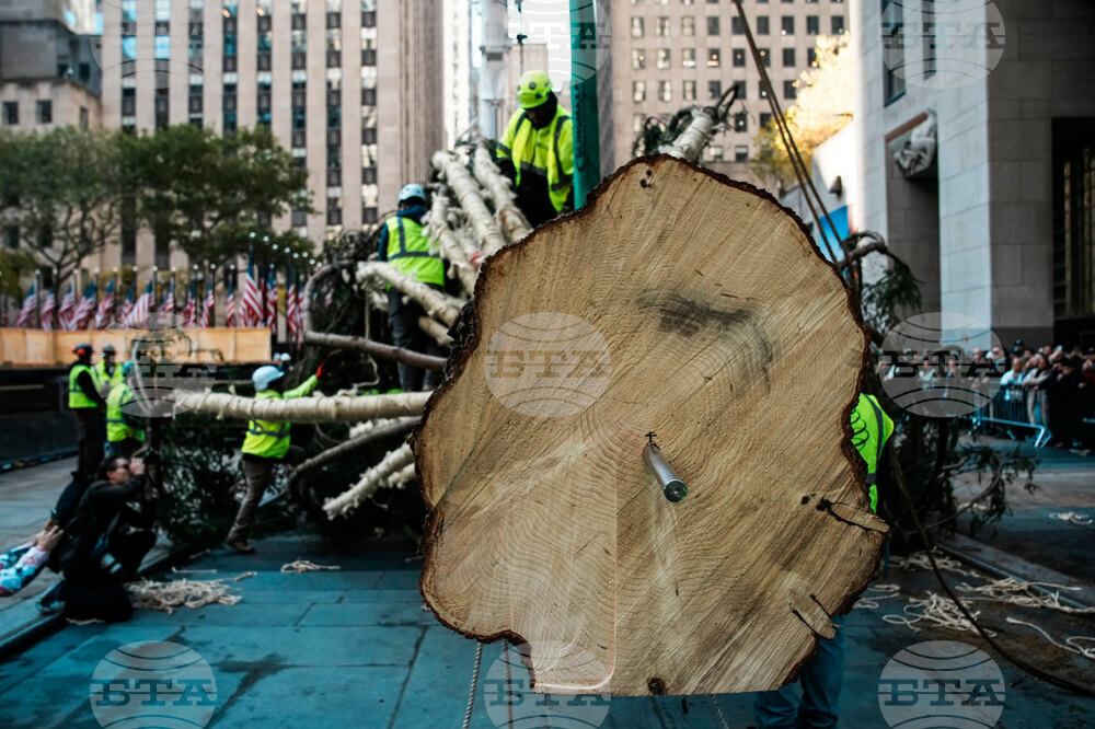Rockefeller Center Christmas Tree