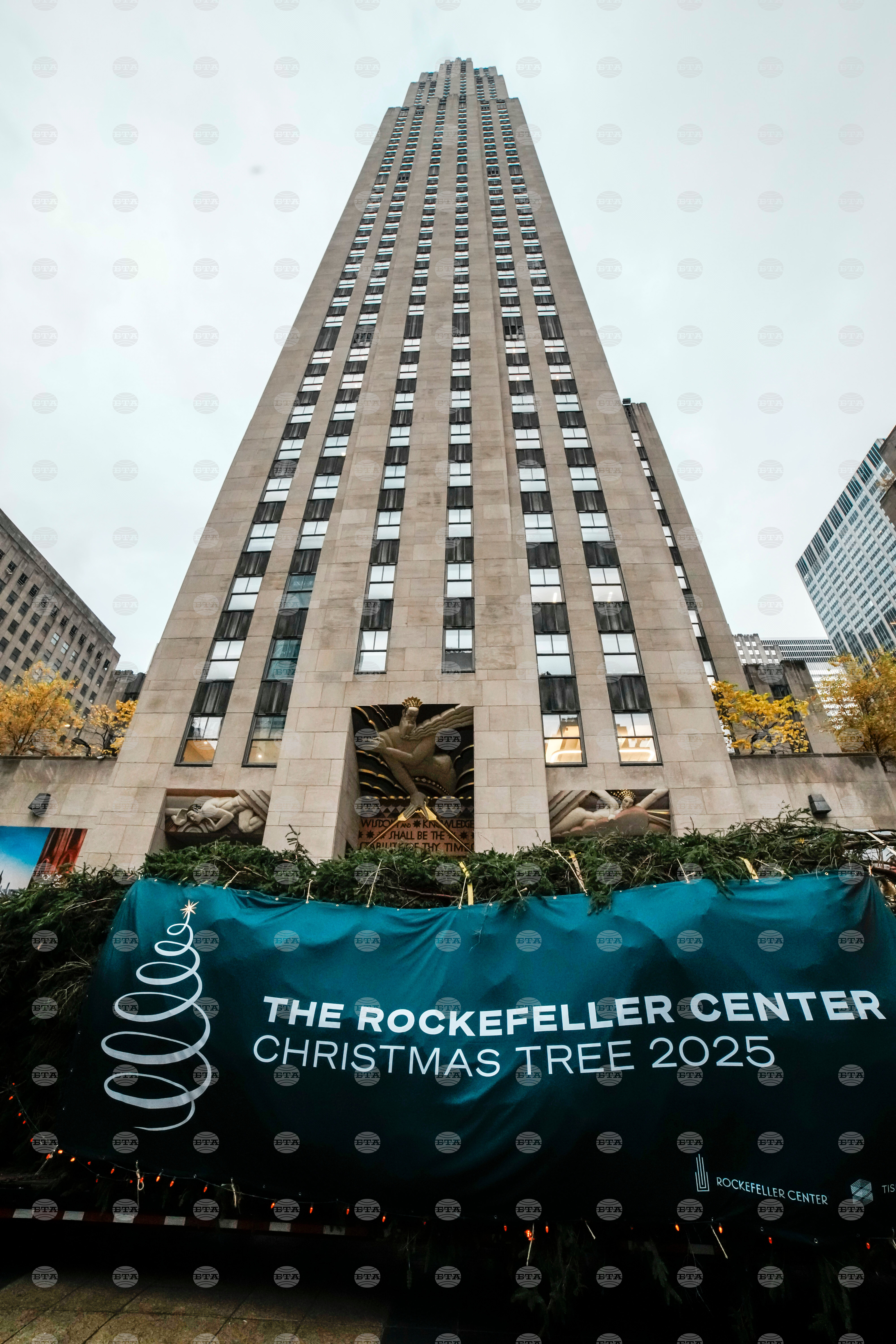 Rockefeller Center Christmas Tree