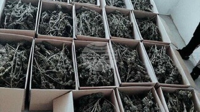 Столични полицаи иззеха около 150 килограма марихуана, задържани са двама души, съобщиха от СДВР 