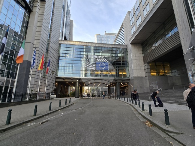 MEPs to Visit Social Facilities for Children and Families in Bulgaria