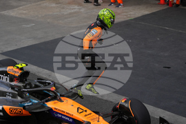 Brazil F1 GP Auto Racing