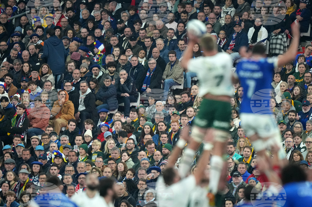 France South Africa Rugby