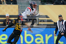 CFL Alouettes Tiger-Cats Football