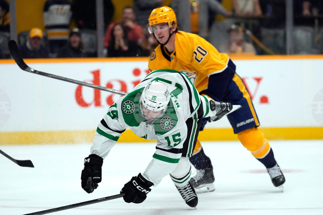 Stars Predators Hockey