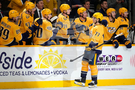 Stars Predators Hockey