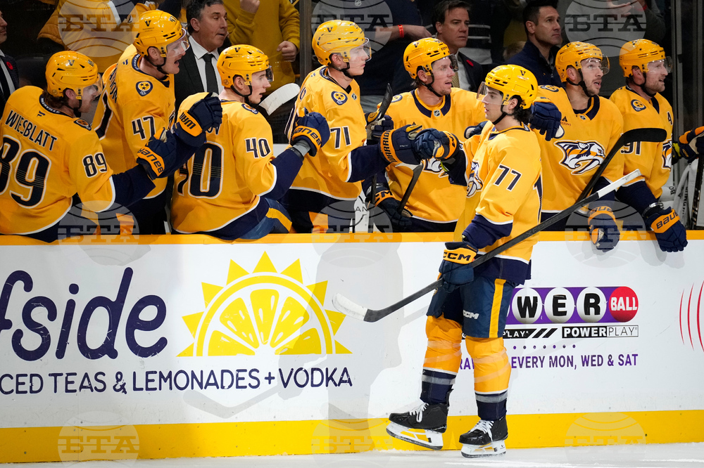 Stars Predators Hockey