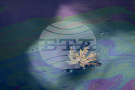 Louisville UPS Plane Crash