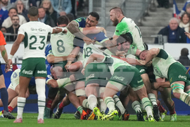 France South Africa Rugby