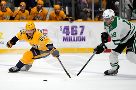 Stars Predators Hockey