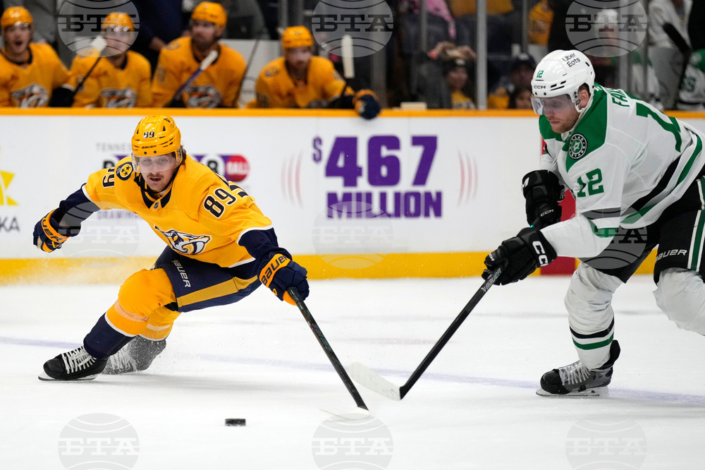 Stars Predators Hockey