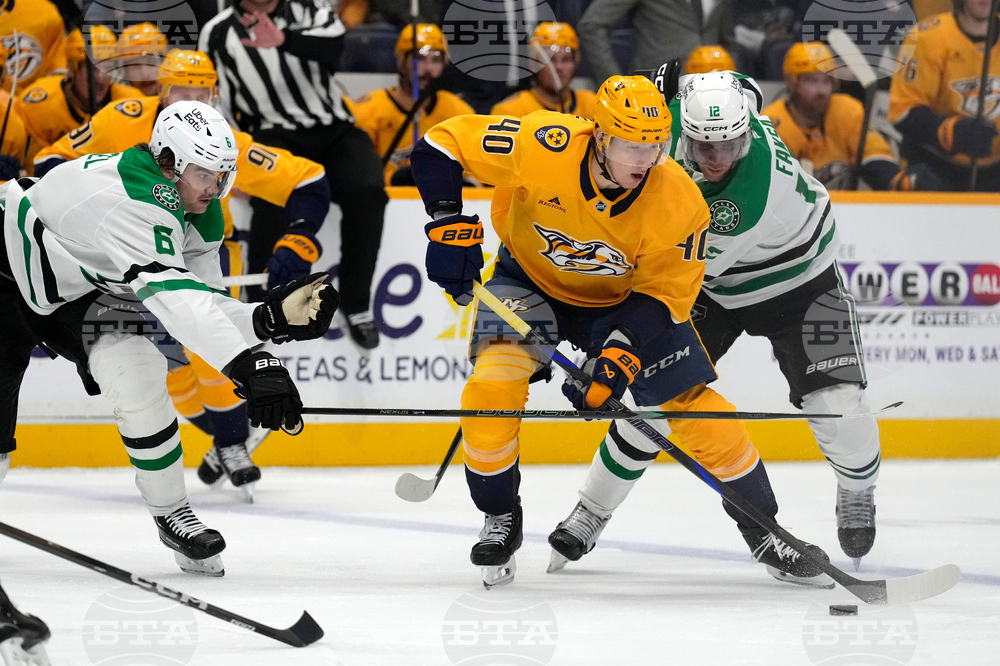 Stars Predators Hockey