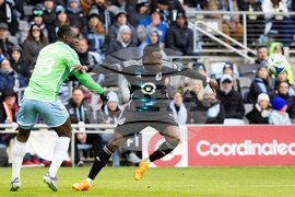 MLS Sounders Minnesota Soccer