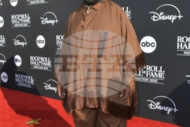 2025 Rock and Roll Hall of Fame Induction Ceremony - Arrivals