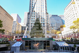 2025 Rockefeller Center Christmas Tree Arrival