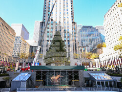 2025 Rockefeller Center Christmas Tree Arrival
