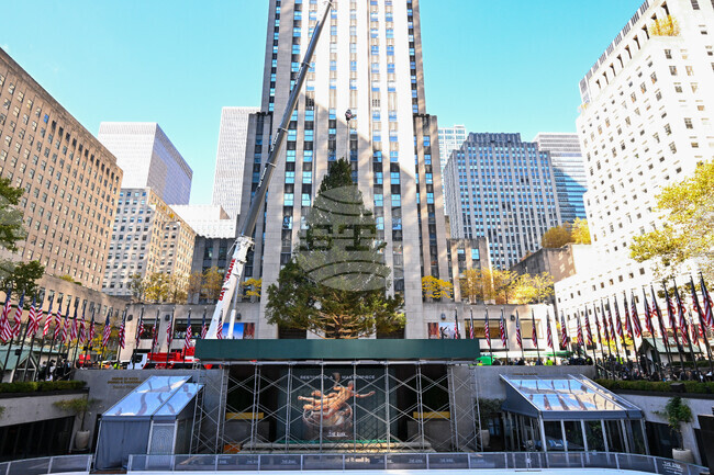 2025 Rockefeller Center Christmas Tree Arrival