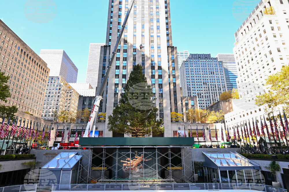 2025 Rockefeller Center Christmas Tree Arrival
