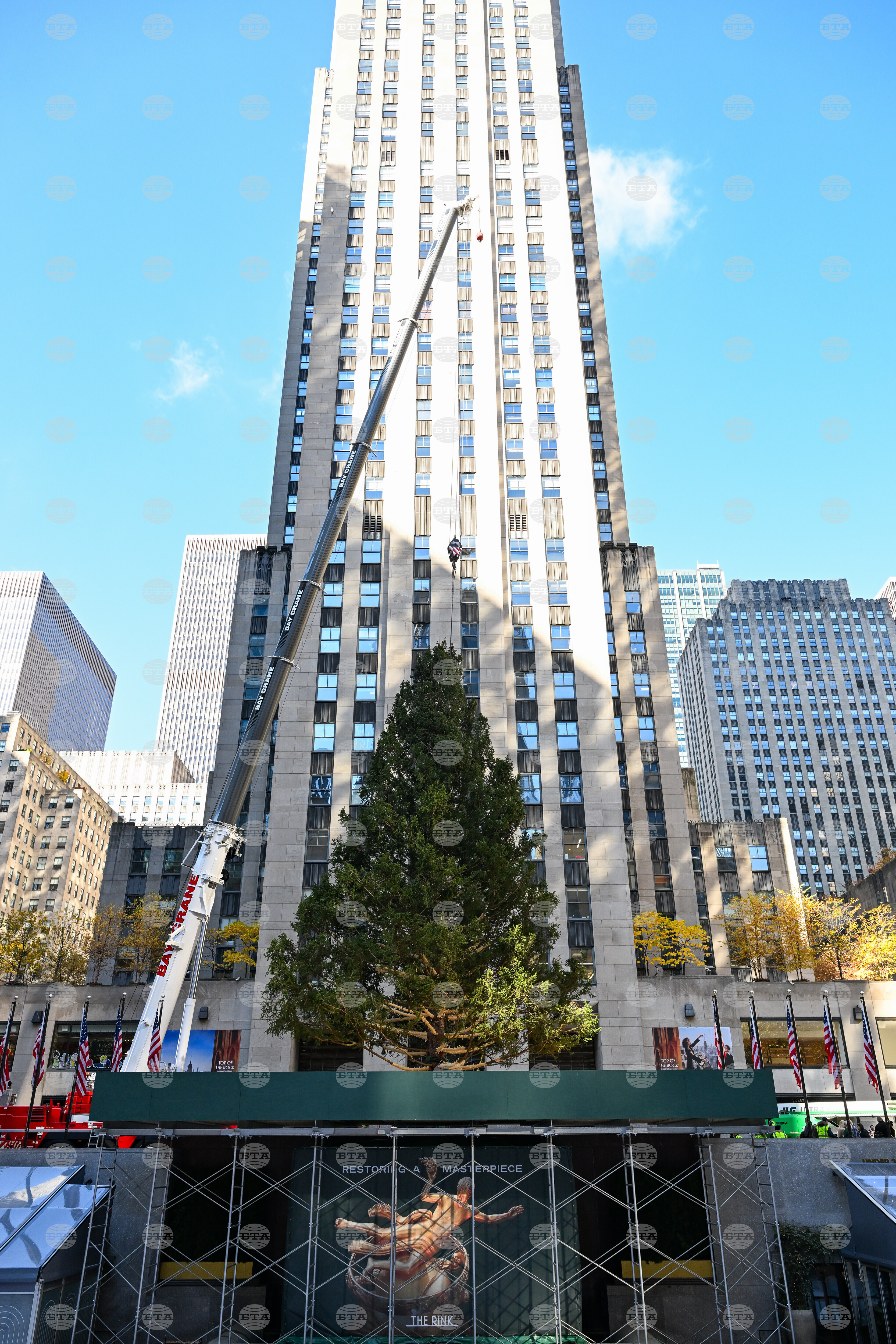 2025 Rockefeller Center Christmas Tree Arrival