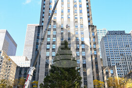 2025 Rockefeller Center Christmas Tree Arrival