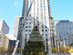2025 Rockefeller Center Christmas Tree Arrival
