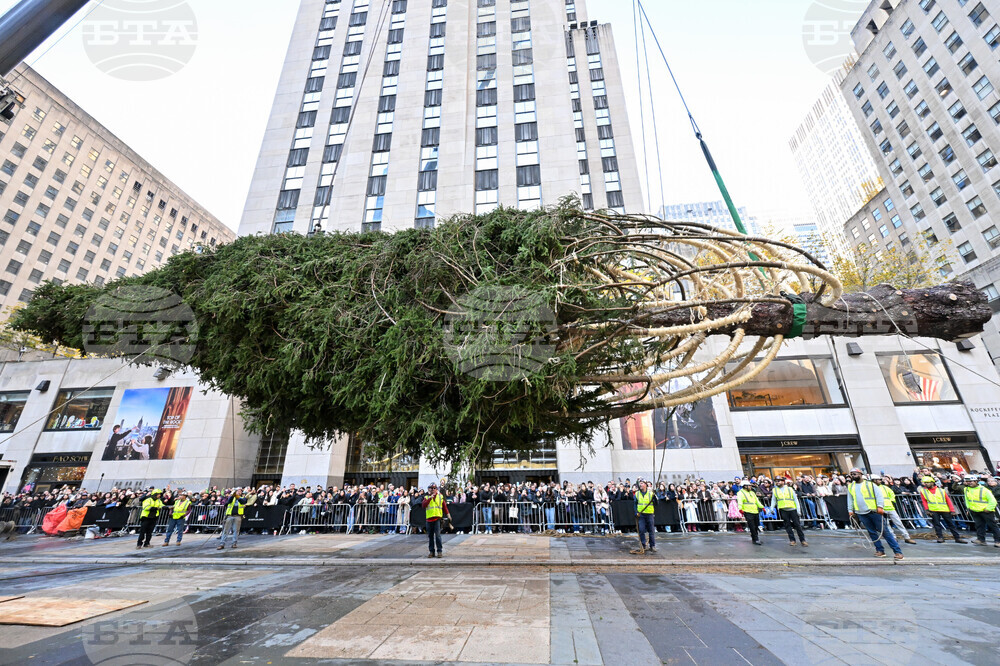 2025 Rockefeller Center Christmas Tree Arrival