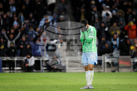 MLS Sounders Minnesota Soccer