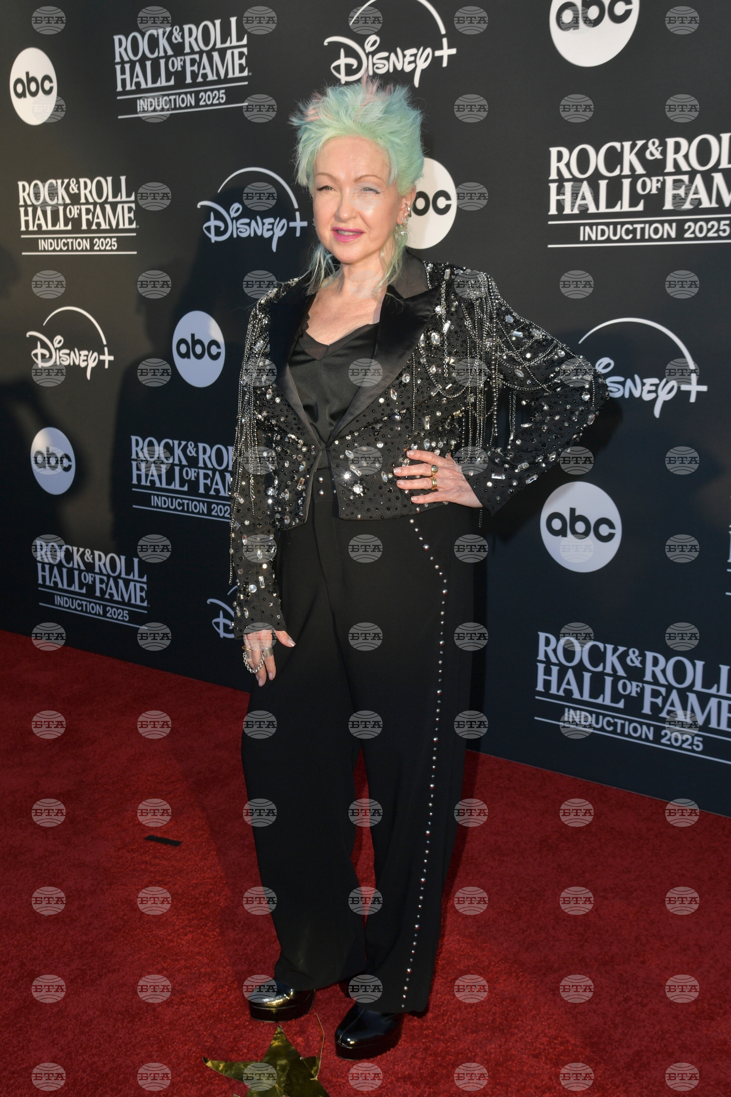 2025 Rock and Roll Hall of Fame Induction Ceremony - Arrivals