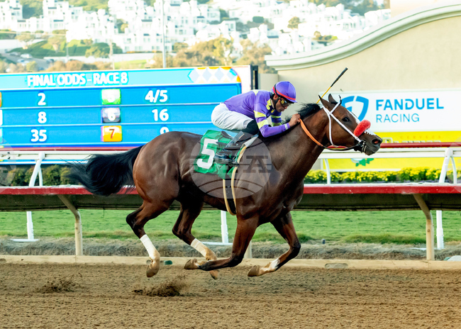 Del Mar Horse Racing