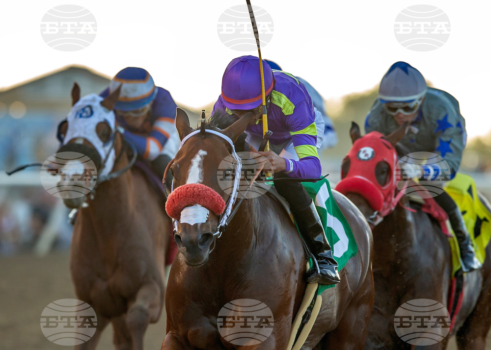 Del Mar Horse Racing