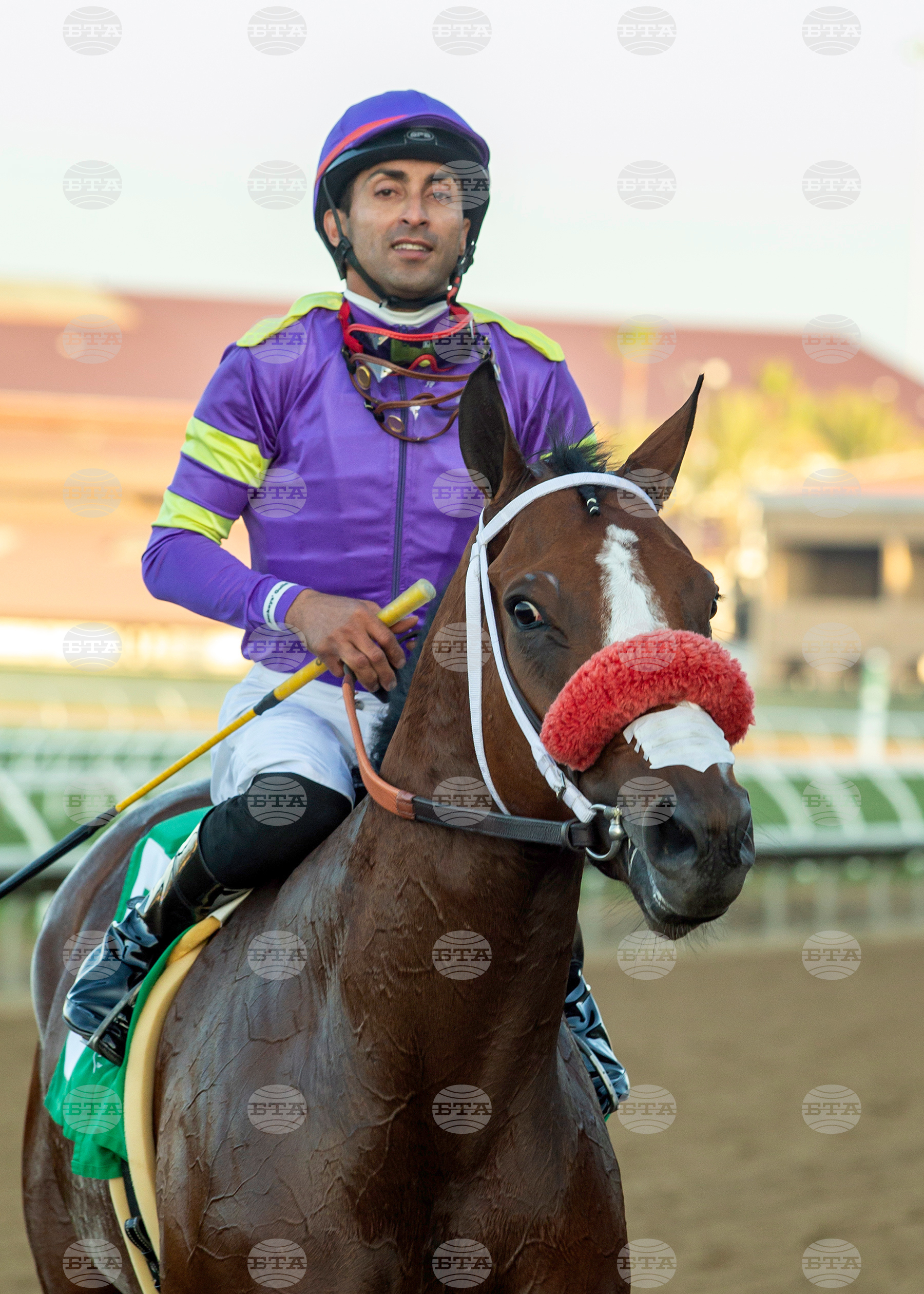 Del Mar Horse Racing