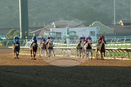 Del Mar Horse Racing