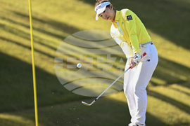 LPGA Japan Golf