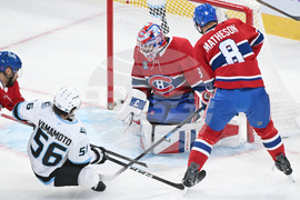 Mammoth Canadiens Hockey