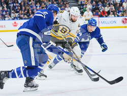Bruins Maple Leafs Hockey