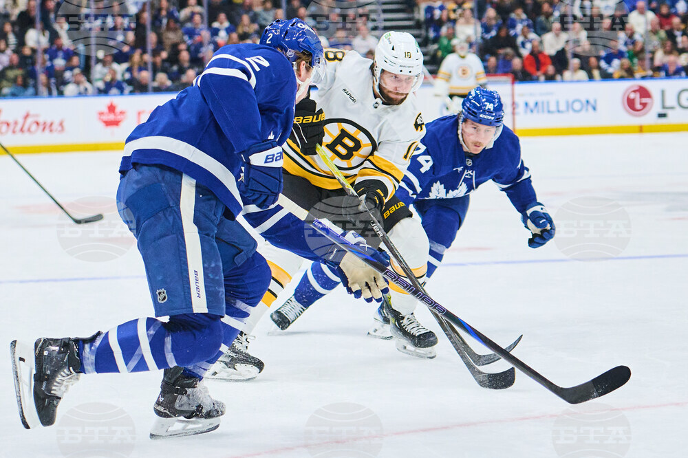 Bruins Maple Leafs Hockey