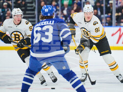 Bruins Maple Leafs Hockey