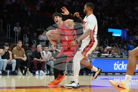 Trail Blazers Heat Basketball