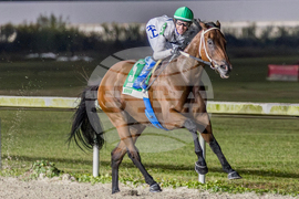 Delta Downs Horse Racing
