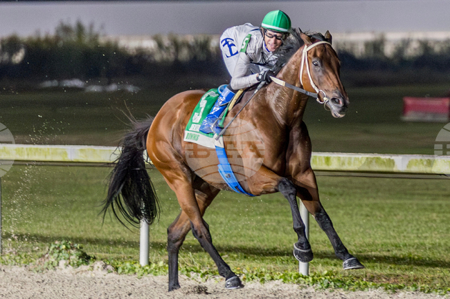 Delta Downs Horse Racing