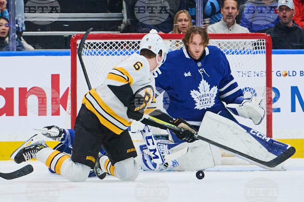 Bruins Maple Leafs Hockey