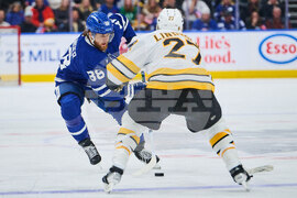 Bruins Maple Leafs Hockey