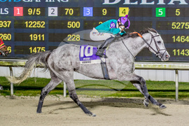 Delta Downs Horse Racing