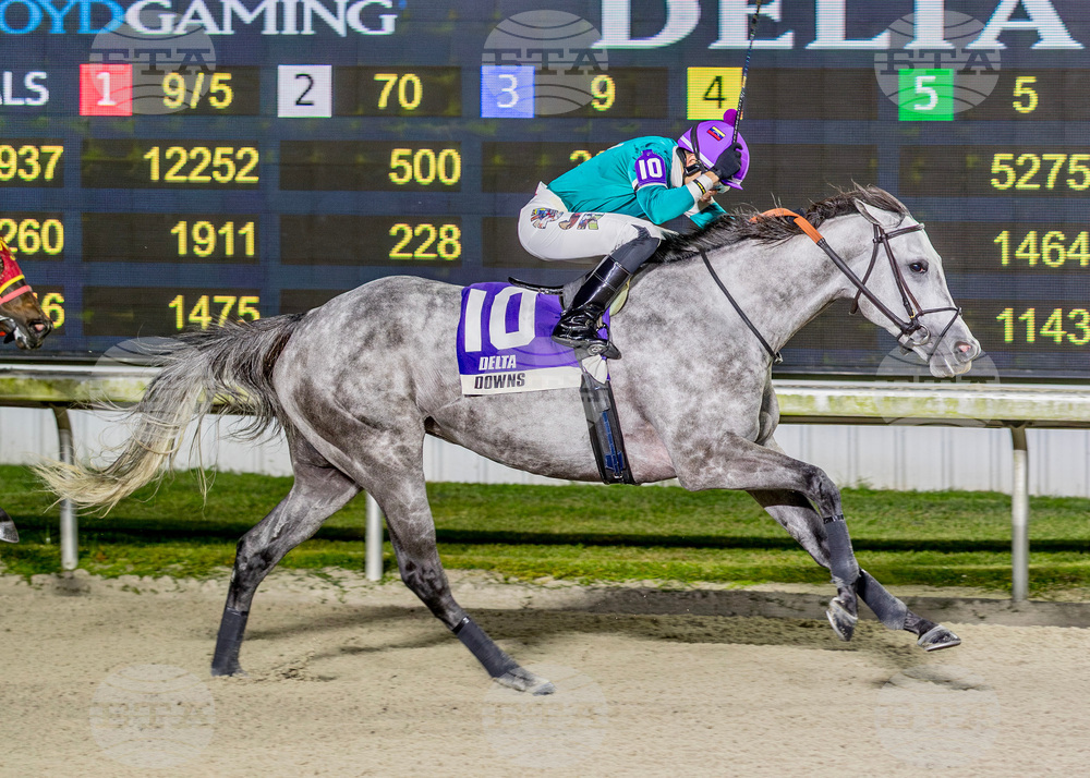 Delta Downs Horse Racing