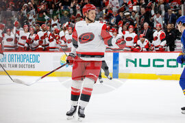 Sabres Hurricanes Hockey